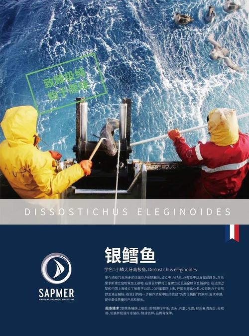 产品包装创意及宣传体系建设